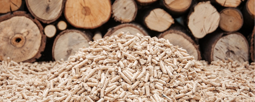 pellet legna segheria pietro giovannino